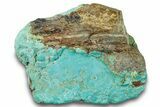 Polished Turquoise Specimen - Number Mine, Carlin, NV #260511-1